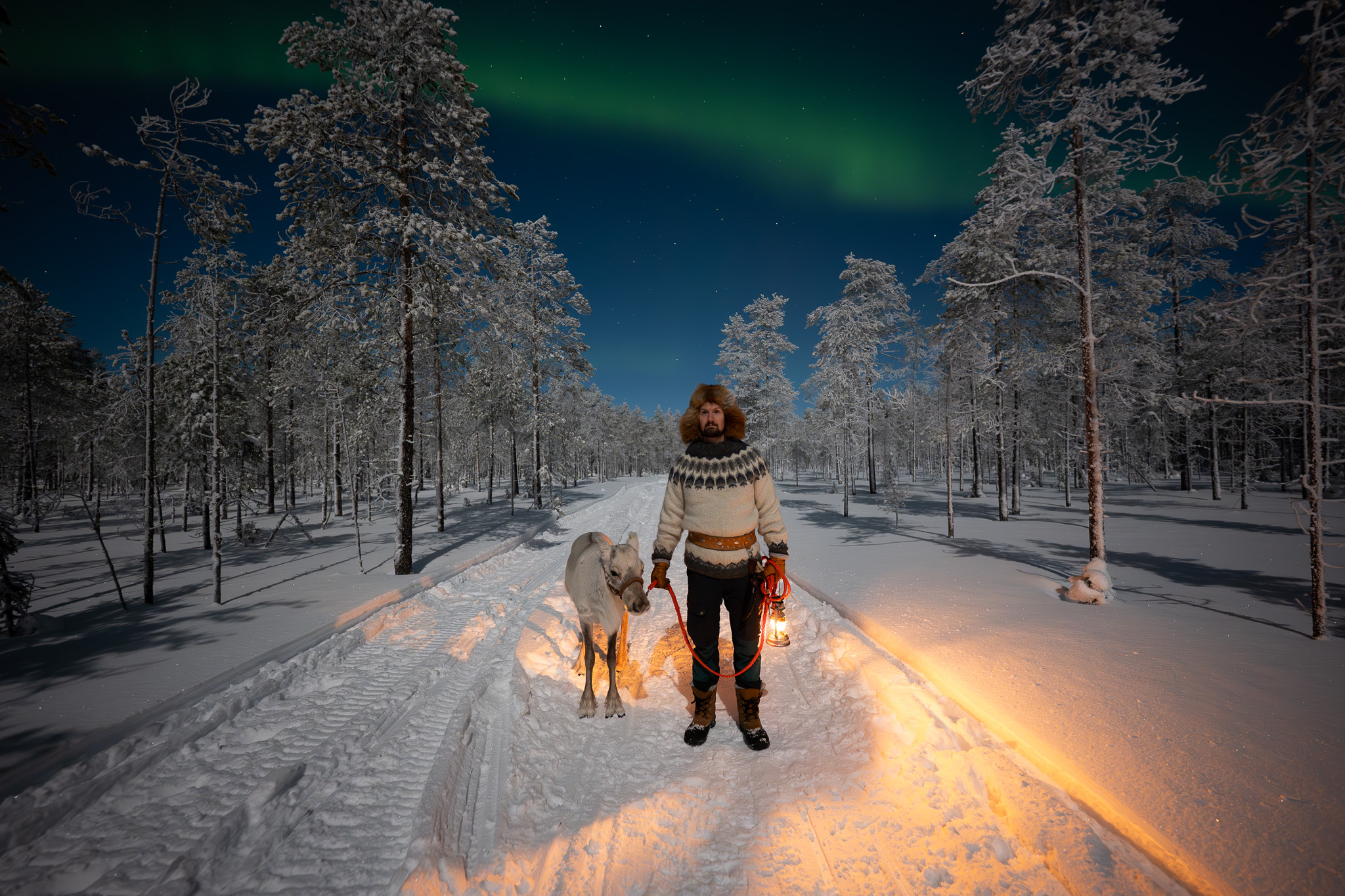 Sami reindeer northern lights