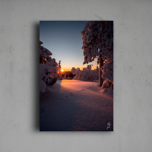 Jäniksen jäljet- sisustusjuliste- tai taulu