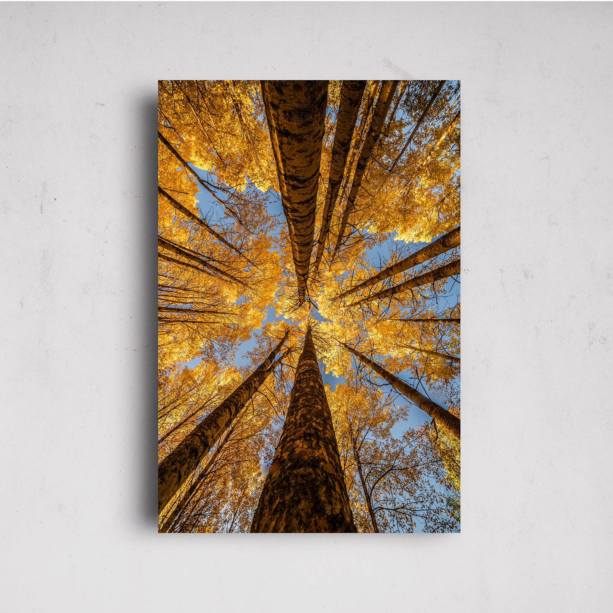 Towards the sky print